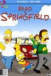 The simpsons droga w Springfield