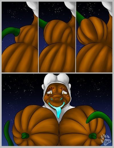 の かぼちゃ パッチ 部分 3