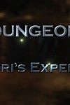 dungeon 3 syndori\'s Erfahrung