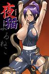 (comic château 2005) [nagaredamaya (bang you)] yoruneko (bleach) [english] [ero otoko]