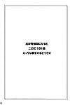 (c82) [akikaze शतावरी (aki)] toramaru दिवा कोई hatsujouki (touhou project) [sharpie translations]