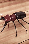 casgra mr. roachcock’s bug zapper PARTIE 2