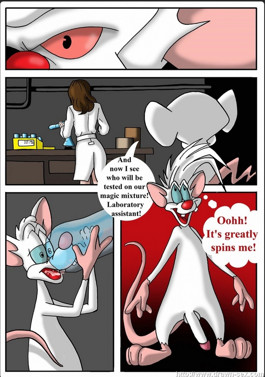Pinky And The Brain