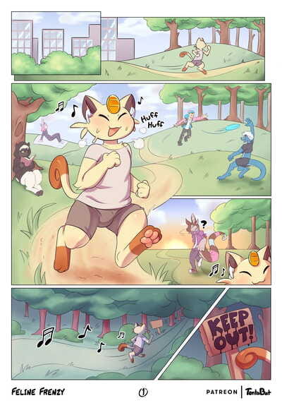 Feline nổi điên lên Pokemon Hoàn toàn